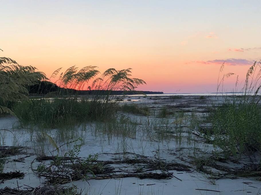 Peaceful Treetop Condo - 2Br/2Ba Hilton Head Island Exteriér fotografie